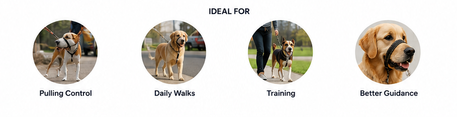 Leather Dog Harness