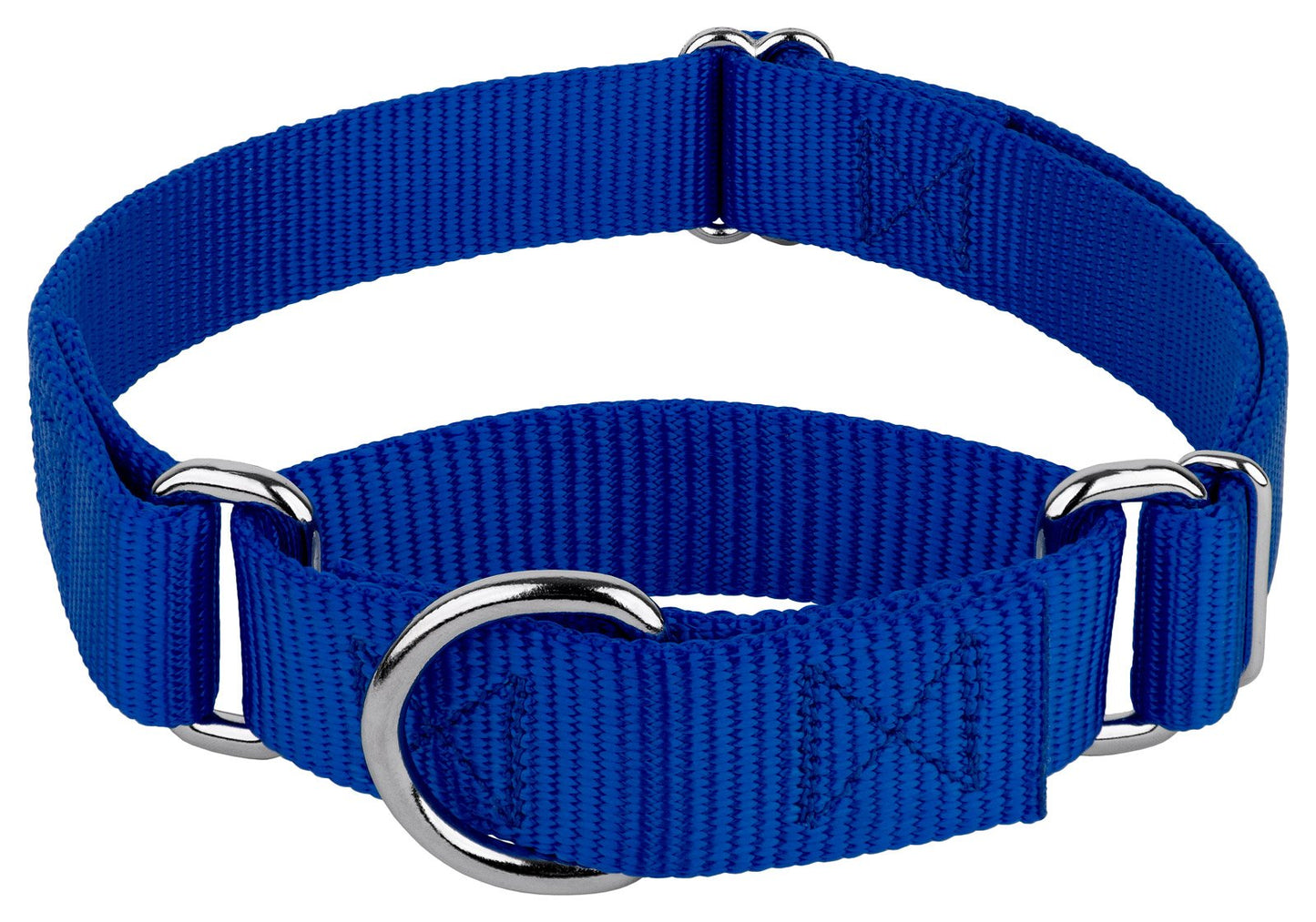 Dog Dollar W/Belts