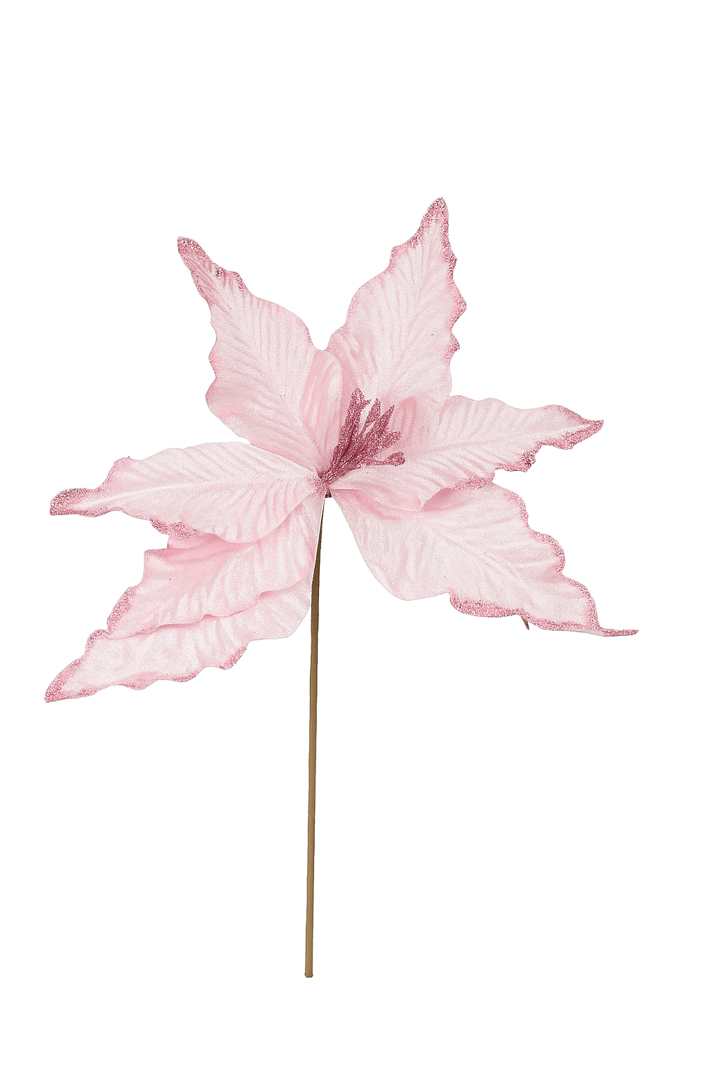 Pink Christmas Flower