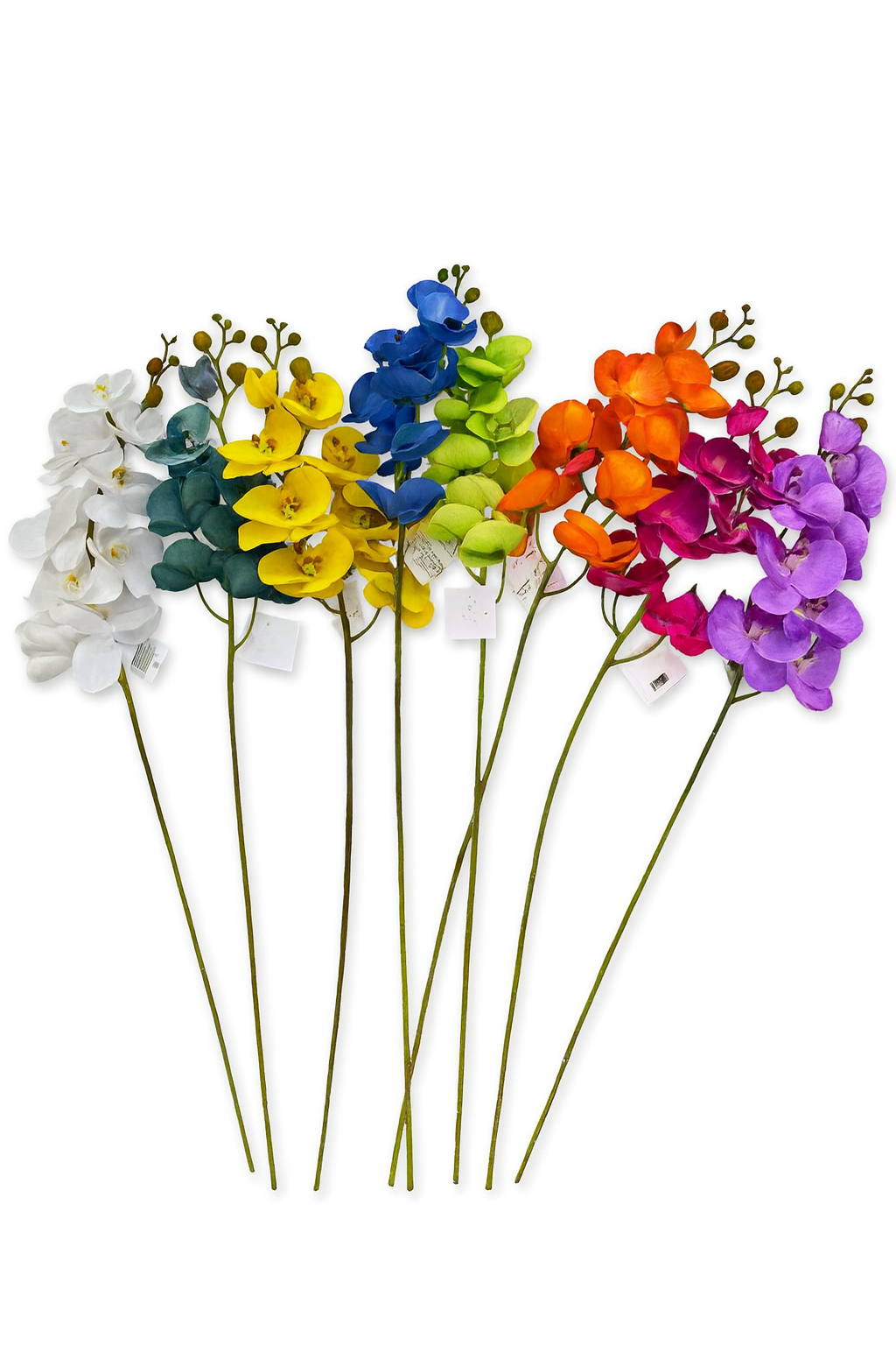 Rainbow Orchid Stems – 7 Colors Set