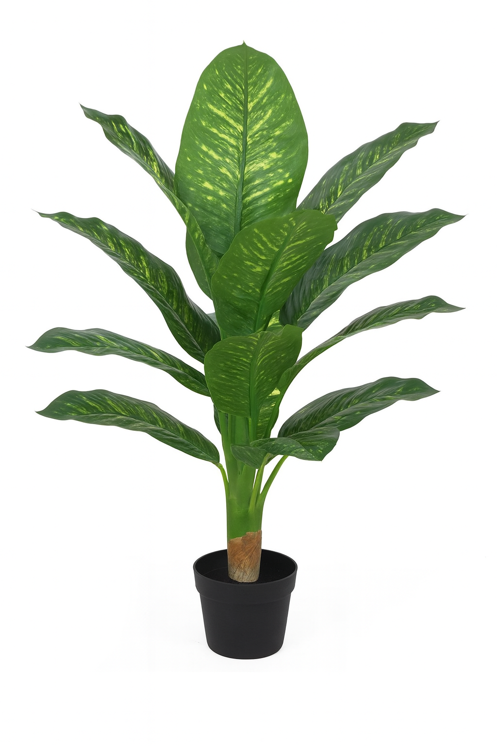 Artificial Dieffenbachia Plant