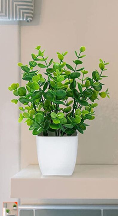 Plastic Potted Plant