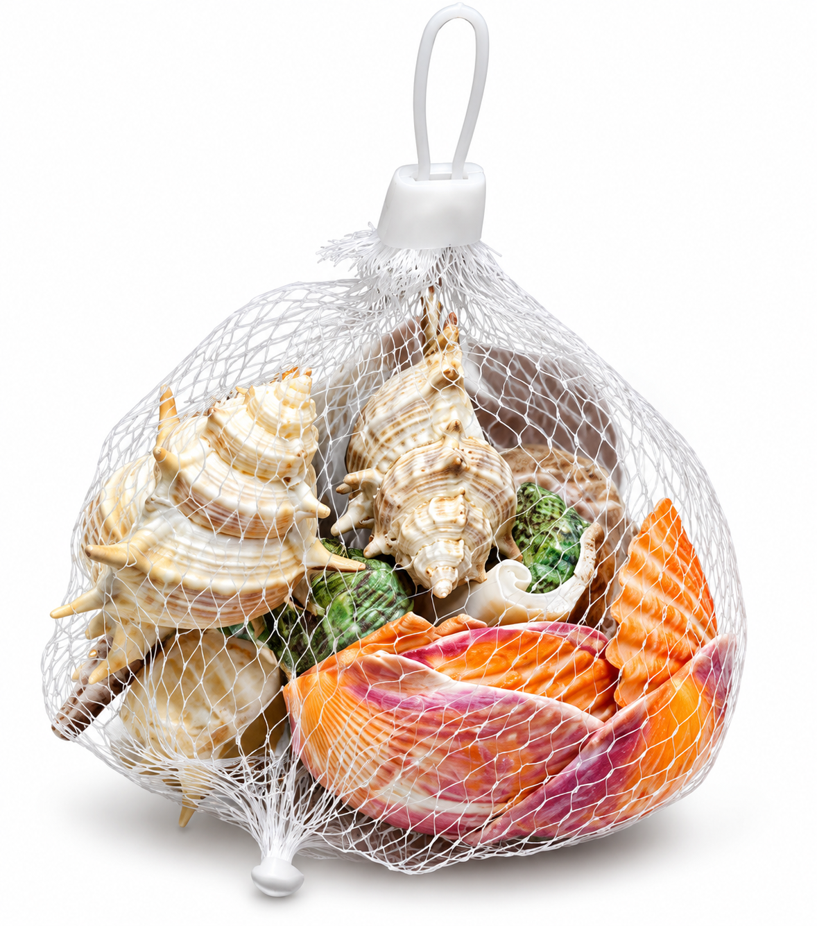 Natural Seashell Mix