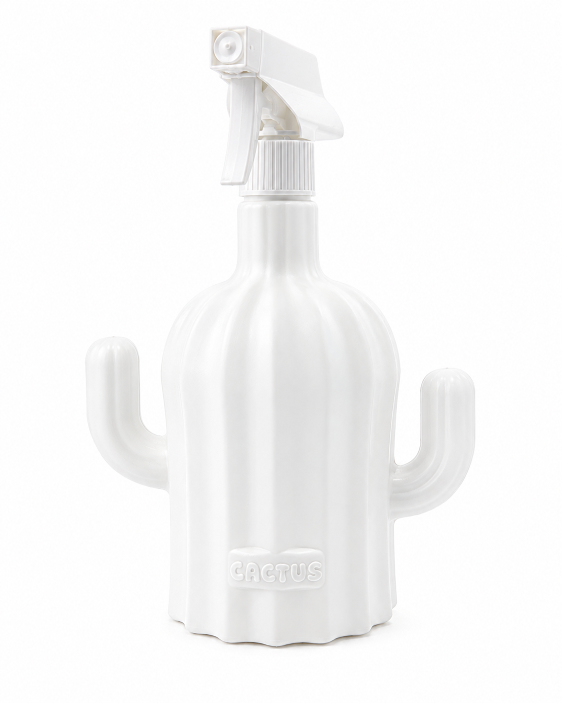 Cactus Plant Mister Spray Bottle