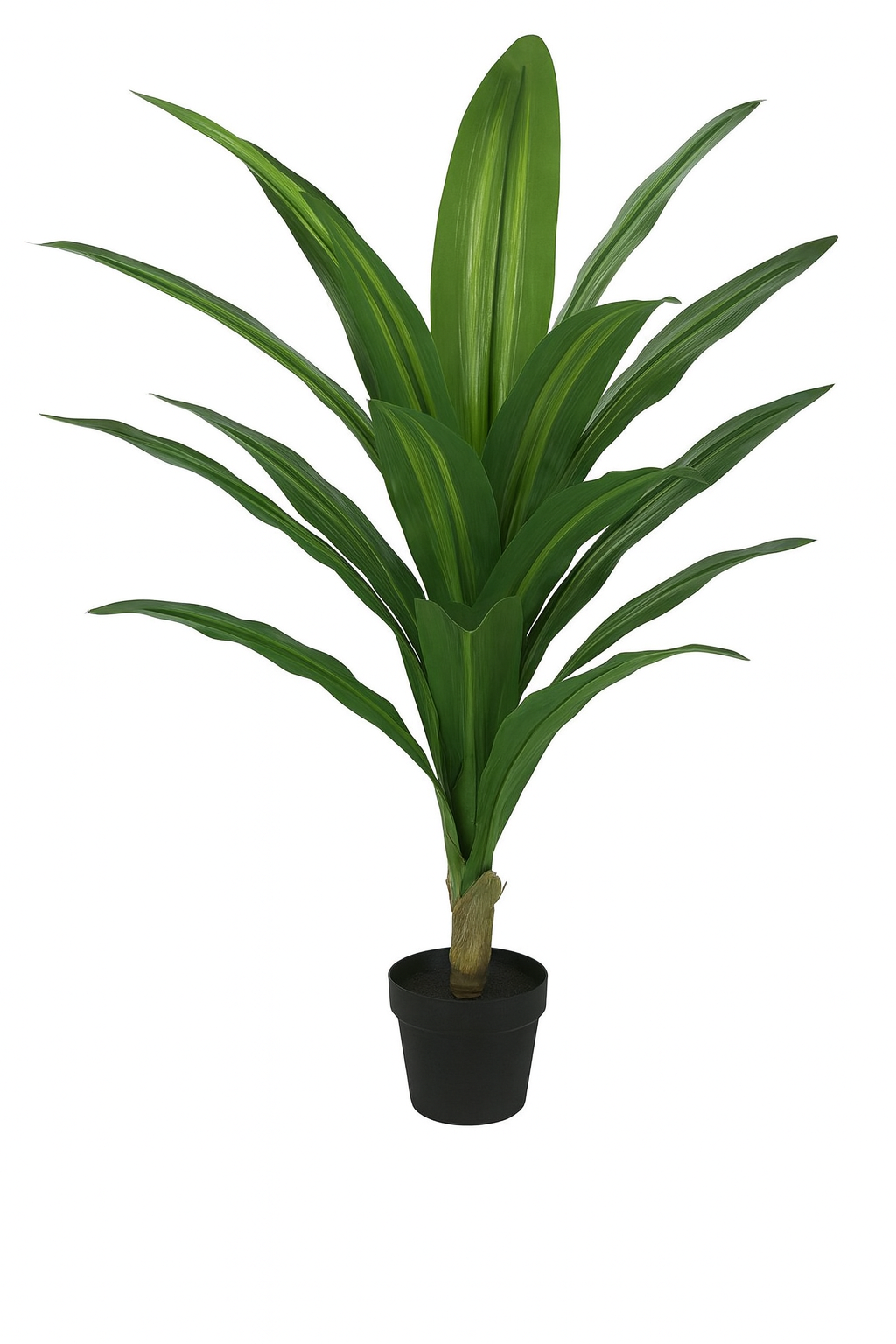 Artificial Dracaena Plant