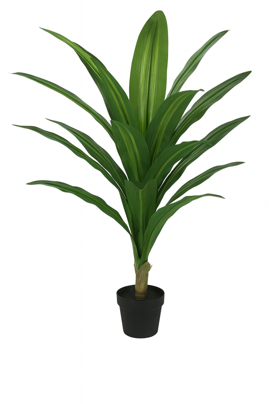 Artificial Dracaena Plant