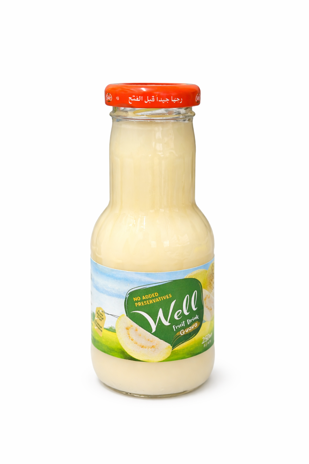 Well Fruit Drink – (Glass Bottle)