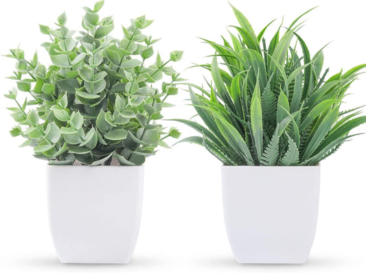 Plastic Potted Plant M