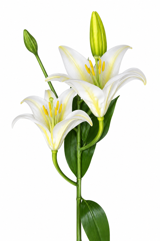 Artificial White Lily Flower Stem