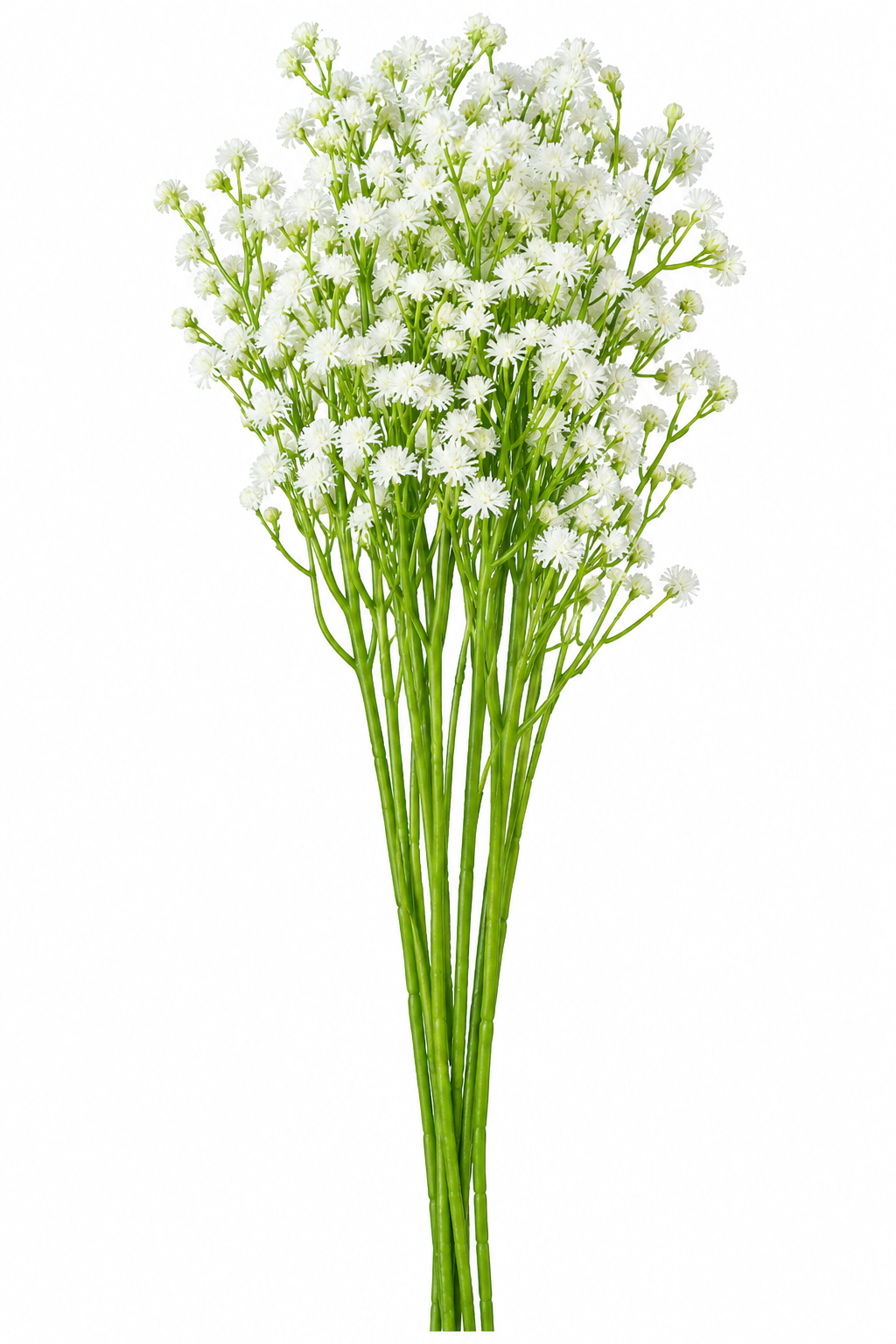 Gypsophila (white)