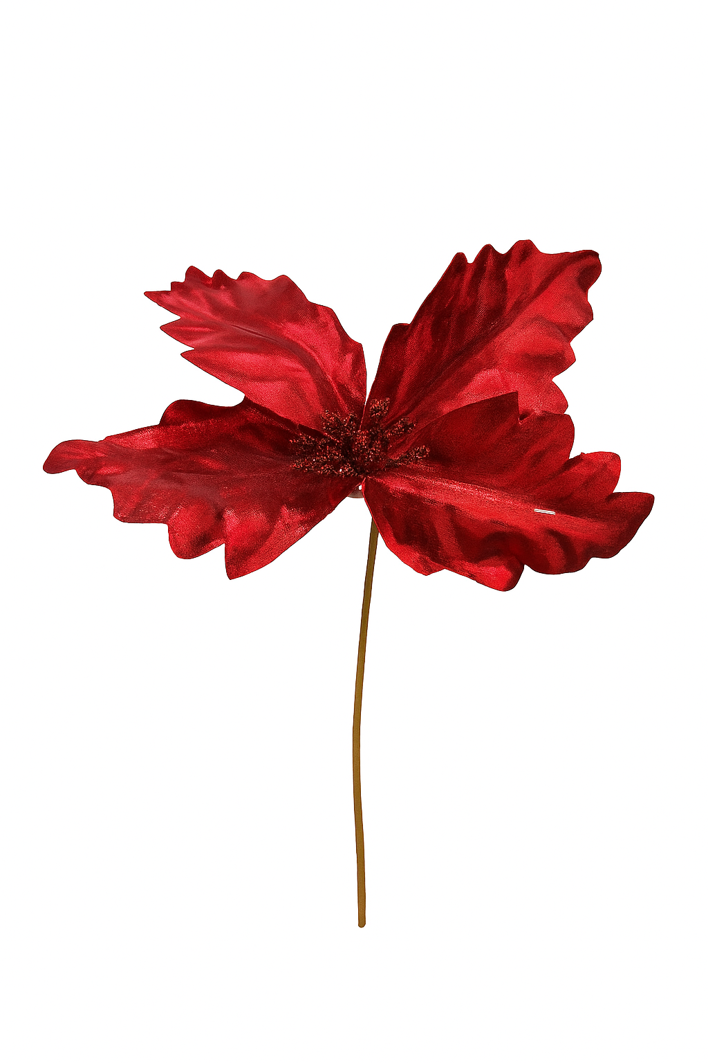 Red Christmas Flower