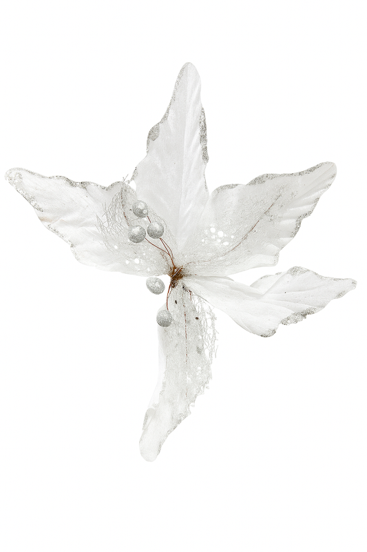 White Christmas Flower