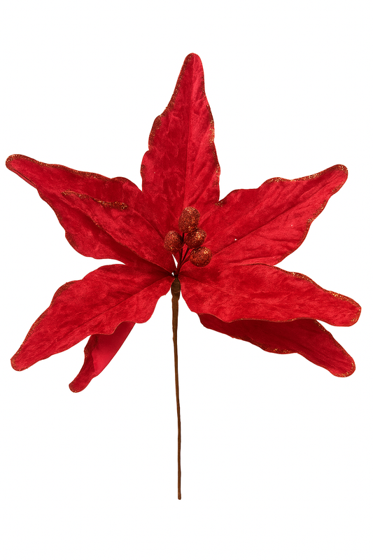 Red Christmas Flower