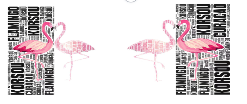 Curacao Shirt /FLAMINGO