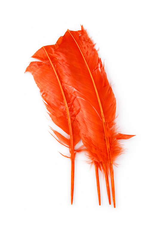 Decorative Feathers  Party