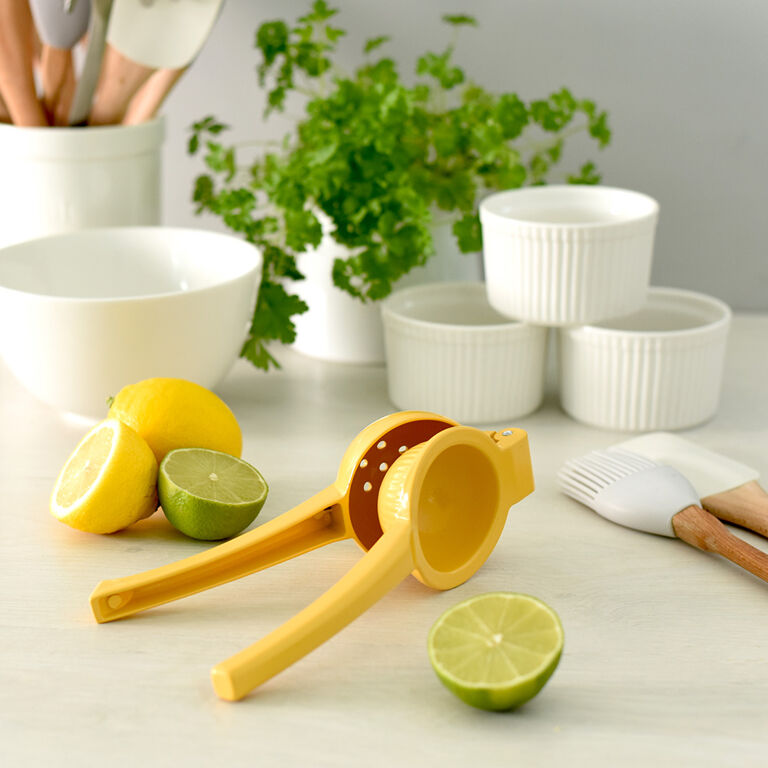 Manual Citrus Juicer