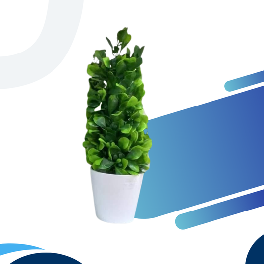 Plastic Potted Plant