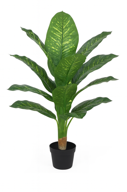 Artificial Dieffenbachia Plant